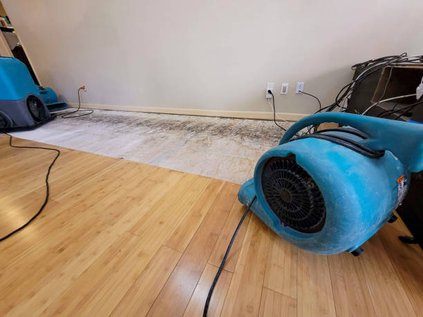 Professional Emergency Water Damage technician working in Fitchburg, WI